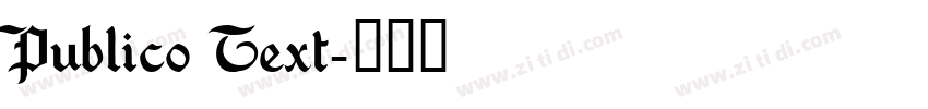 Publico Text字体转换